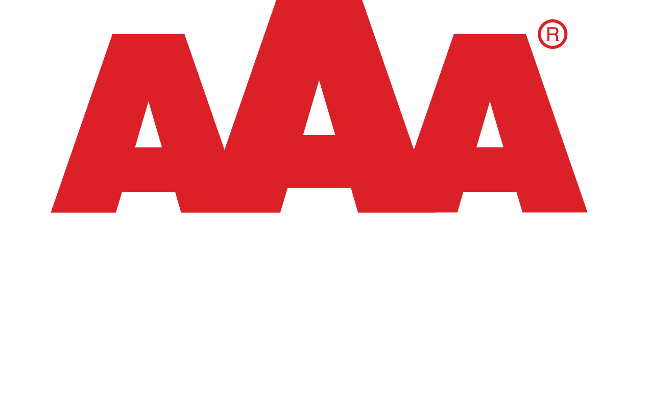 Teleservice IT-företag, ekonomi